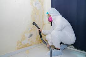 Best Mold Removal for HVAC Installations  in Brambleton, VA